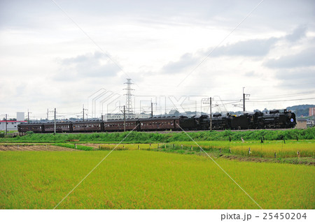上越線　八木原－渋川　JR東日本　D51-498＋C61-20＋旧客　SLググっとぐんまみなかみ 25450204