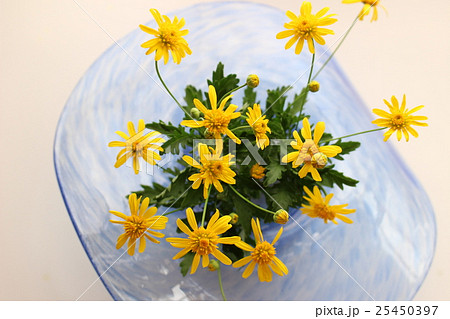 マーガレットコスモスのフラワーアレンジメント 25450397