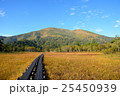 錦秋の尾瀬ヶ原と至仏山 25450939