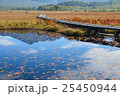 尾瀬ヶ原の池塘に写る燧ケ岳 25450944