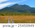 錦秋の尾瀬ヶ原から望む燧ケ岳 25450949