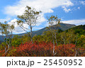 紅葉と至仏山 25450952