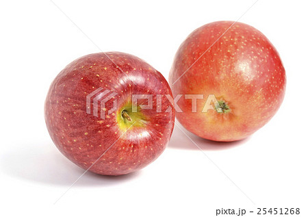 リンゴ(千秋) リンゴ(千秋) 25451268