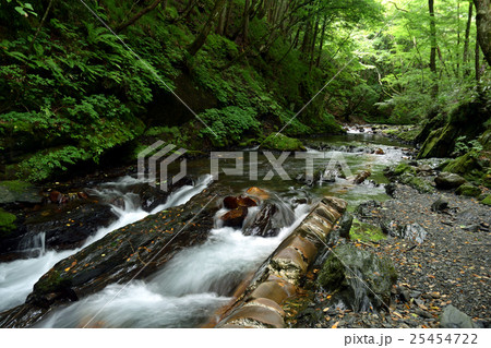 天然記念物 横川の蛇石 天然記念物 横川の蛇石 25454722