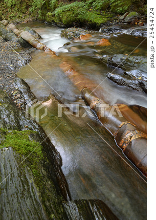 天然記念物 横川の蛇石 天然記念物 横川の蛇石 25454724