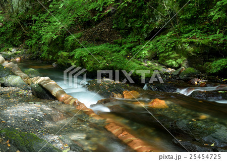 天然記念物 横川の蛇石 天然記念物 横川の蛇石 25454725