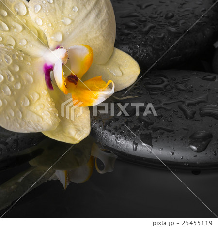 Beautiful spa set of yellow orchid (phalaenopsis) Beautiful spa set of yellow orchid (phalaenopsis) 25455119