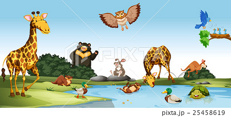 Wild Animals Living By The Pondのイラスト素材
