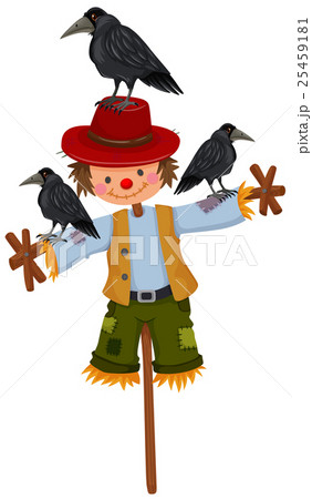 Scarecrow on stick and three crows 25459181