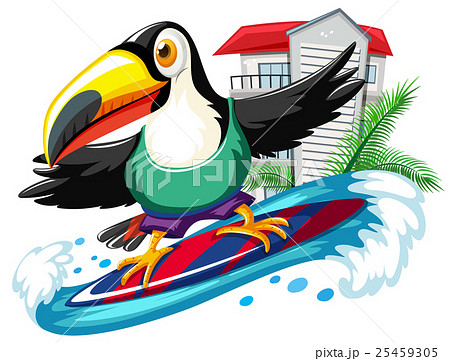 Toucan surfing in the sea Toucan surfing in the sea 25459305