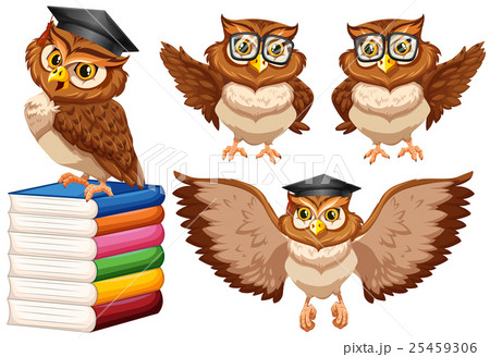 Owls wearing glasses and cap 25459306