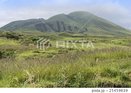 阿蘇山 杵島岳 阿蘇山 杵島岳 25459639