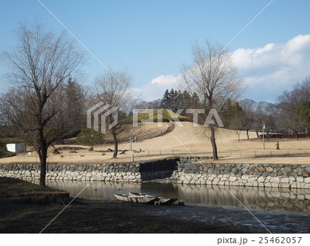 冬の総合公園 冬の総合公園 25462057