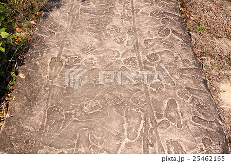 ソンミ村事件保存地区の住民とアメリカ兵の足跡を再現した村の小道 25462165