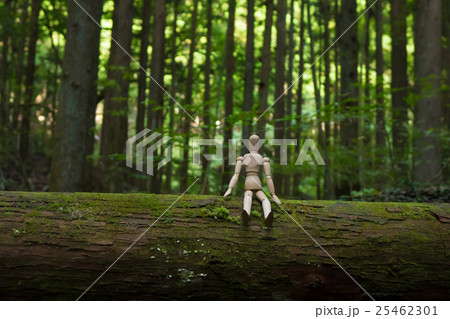 環境イメージ/人形 25462301