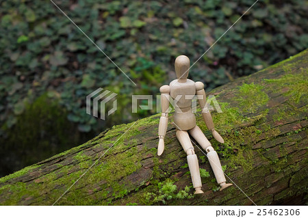 環境イメージ/人形 25462306
