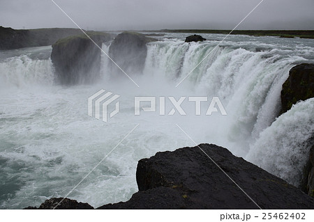 ゴーザフォス 25462402