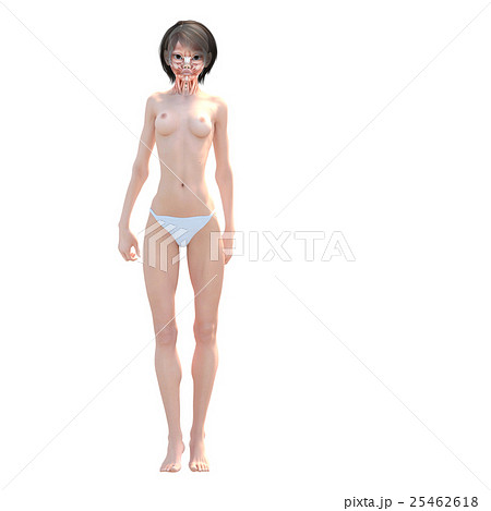 女性　解剖　筋肉　３DCG　イラスト素材 25462618