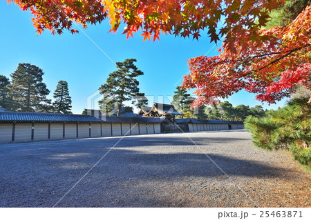 錦秋の京都御苑 25463871
