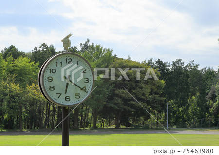 時計　公園　芝生　空 25463980