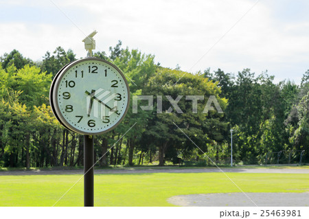 時計　公園　芝生　空 25463981