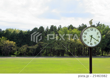 時計　公園　芝生　空 25463982
