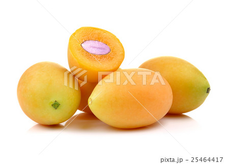 sweet marian plum thai fruit isolated on white sweet marian plum thai fruit isolated on white 25464417