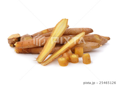 Fingerroot, Kaempfer, Boesenbergia on white 25465126