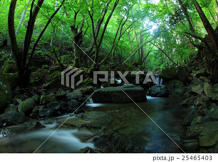 三陸 渓流 三陸 渓流 25465403