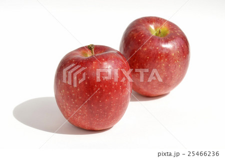 リンゴ（千秋） 25466236