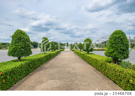 Road straight orderly ornamental greenery garden 25466708