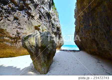 備瀬のワルミ01 25472743