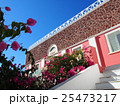 南国の花ブーゲンビリアと青空 25473217