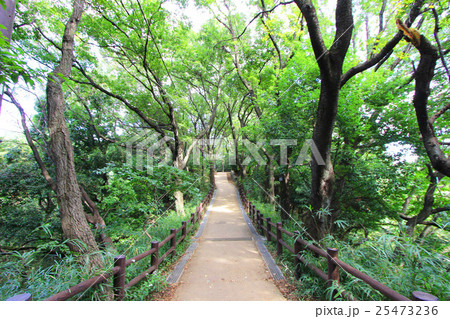 生田緑地 25473236