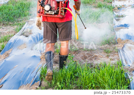 Back farmer spraying pesticides or fertilizers 25473370