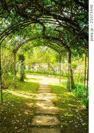 Arch green soft natural path walkway 25473440