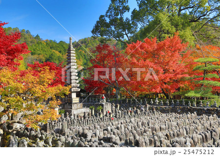 Autumn Leaves Of Adashino Nenbutsu-ji  25475212