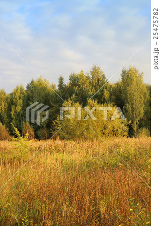 Autumn landscape Autumn landscape 25475782