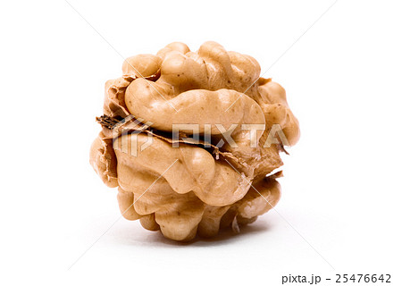 walnut isolated on a white background 25476642