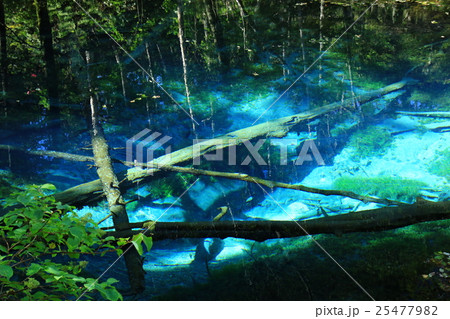 神の子池 25477982