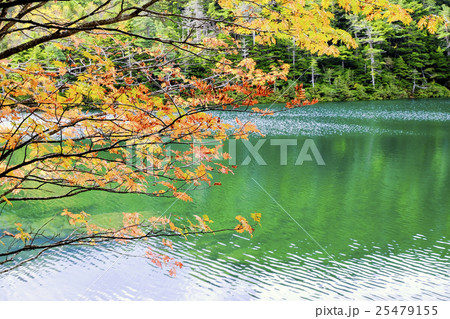秋の双子池 25479155