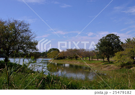 秋の公園 25479182