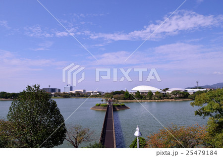 秋の公園 25479184