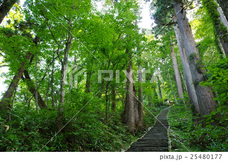 羽黒山参詣道 25480177