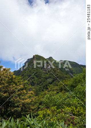 登山道からみた寒風山（かんぷうざん） 25481183