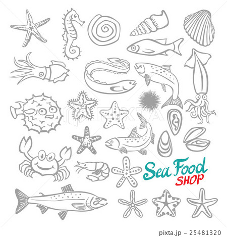 Vector Set of Sketch Sea Food Vector Set of Sketch Sea Food 25481320