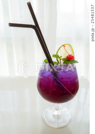 cocktail with mint 25481537