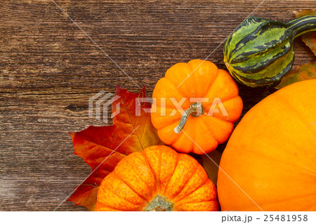 pumpkin on table 25481958