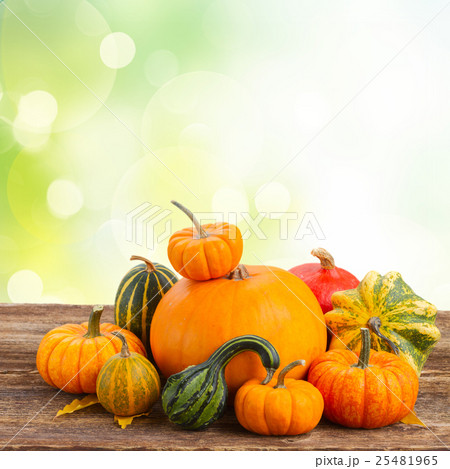 pumpkin on table 25481965