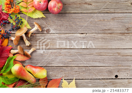 Autumn background Autumn background 25483377